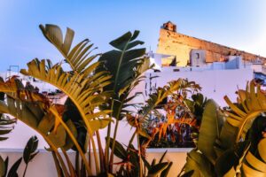 solenzia-escapes-ibiza-285