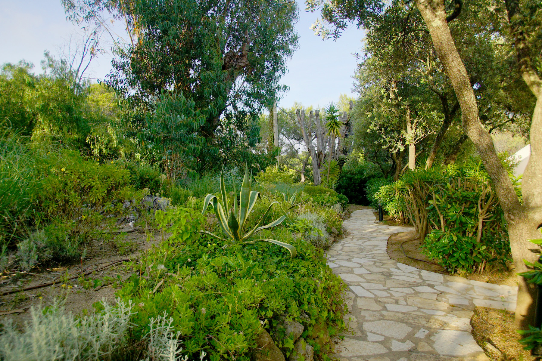 solenzia-escapes-saint-tropez-046