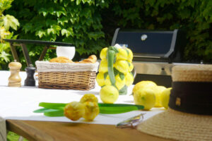 solenzia-escapes-saint-tropez-170